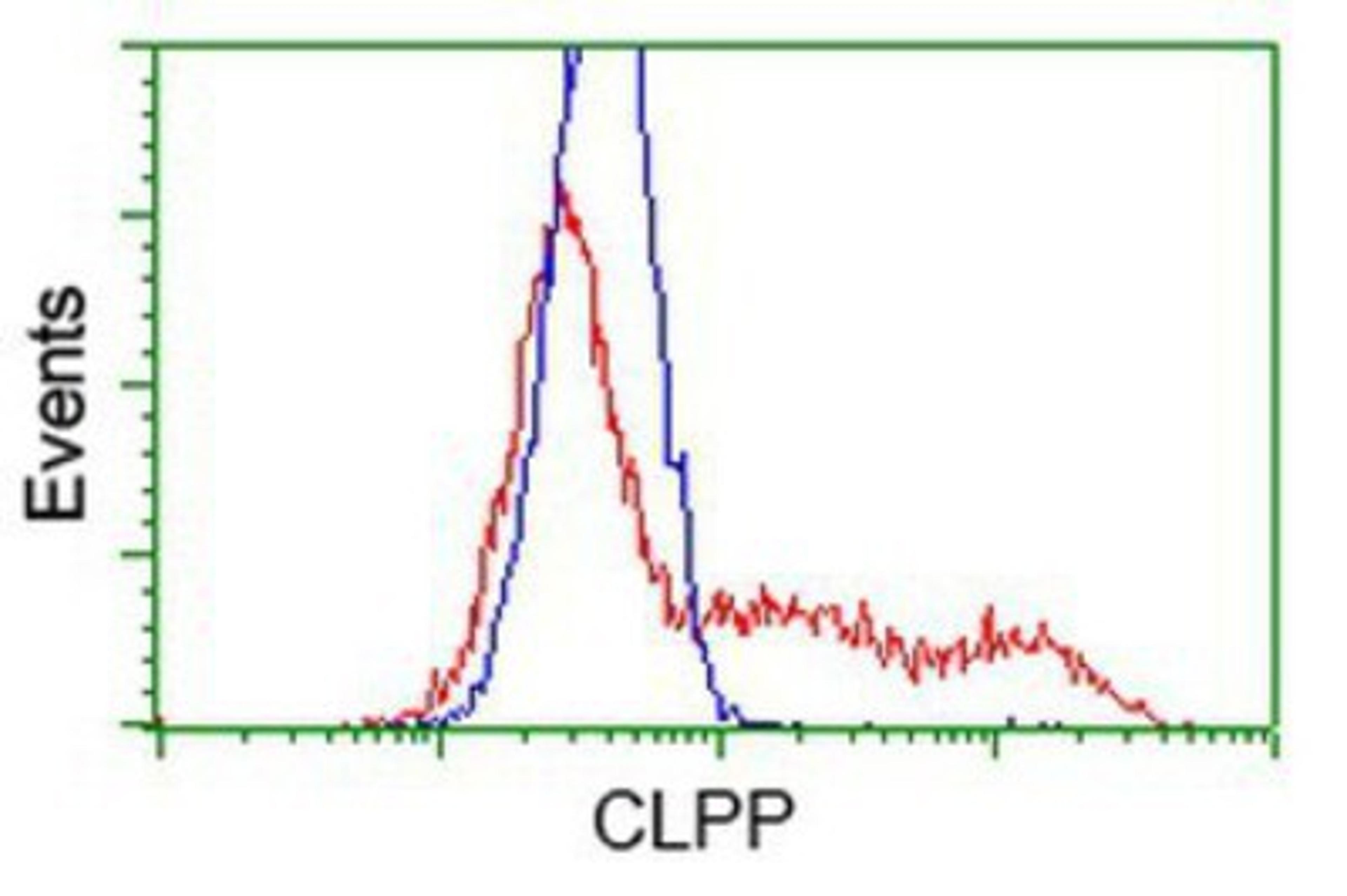 Flow Cytometry: CLPP Antibody (1F6) [NBP2-03323] - HEK293T cells transfected with either overexpression plasmid (Red) or empty vector control plasmid (Blue) were immunostained by anti-CLPP antibody, and then analyzed by flow cytometry.