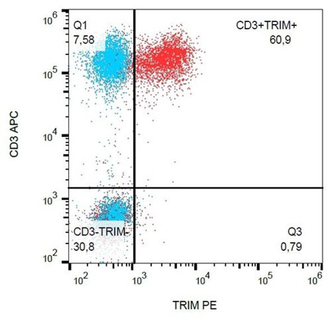 Flow cytometric analysis of human peripheral blood cells using TRIM antibody (PE)