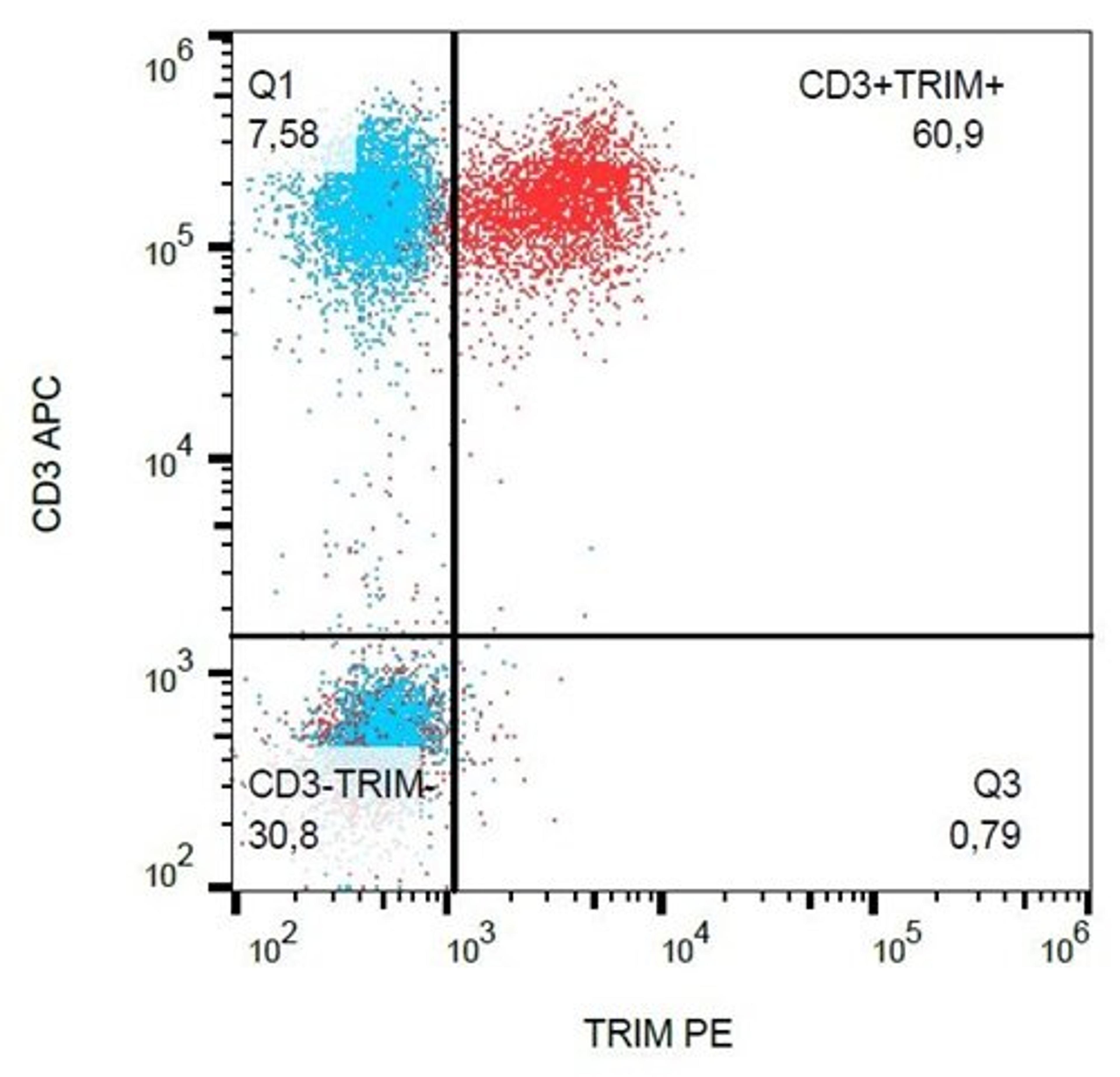 Flow cytometric analysis of human peripheral blood cells using TRIM antibody (PE)