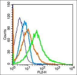 Flow cytometric analysis of spleen cell using RUNX2 antibody.