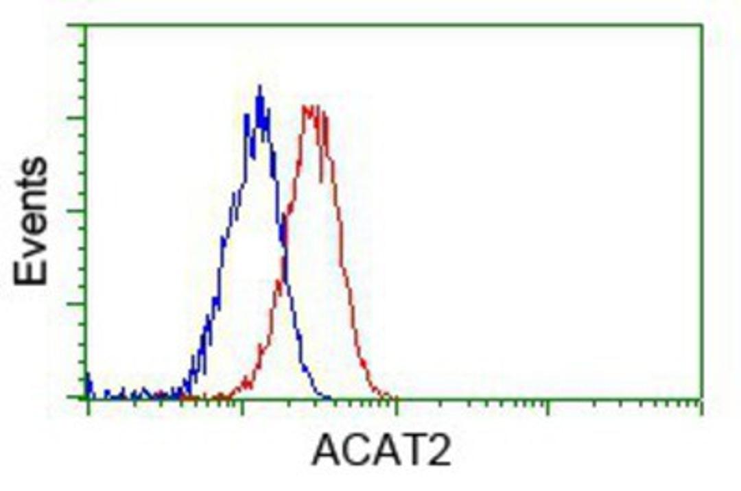 Flow Cytometry: ACAT2 Antibody (3E2) [NBP2-02588] - Analysis of Jurkat cells, using anti-ACAT2 antibody, (Red), compared to a nonspecific negative control antibody (Blue).