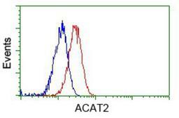 Flow Cytometry: ACAT2 Antibody (3E2) [NBP2-02588] - Analysis of Jurkat cells, using anti-ACAT2 antibody, (Red), compared to a nonspecific negative control antibody (Blue).