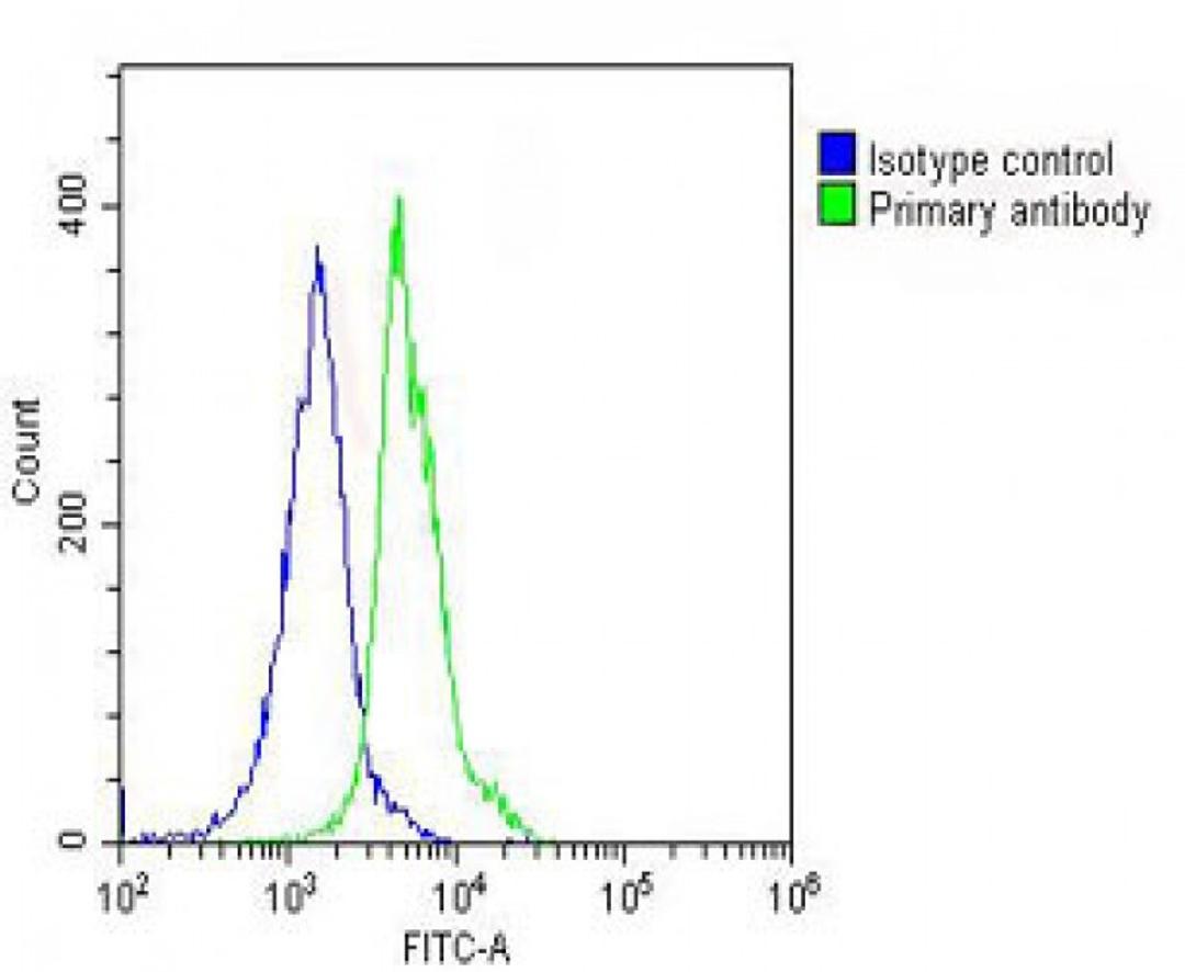 Overlay histogram showing THP-1 cells stained with Antibody (green line). The cells were fixed with 2% paraformaldehyde (10 min) and then permeabilized with 90% methanol for 10 min. The cells were then icubated in 2% bovine serum albumin to block non-spec