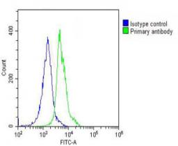 Overlay histogram showing THP-1 cells stained with Antibody (green line). The cells were fixed with 2% paraformaldehyde (10 min) and then permeabilized with 90% methanol for 10 min. The cells were then icubated in 2% bovine serum albumin to block non-spec