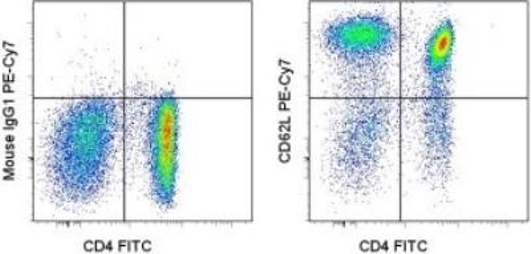 Flow Cytometry: L-Selectin/CD62L Antibody (DREG56) [NBP1-42795] - Analysis using the PE/Cy7 conjugate of NBP1-42795. Staining of normal human peripheral blood cells with Anti-Human CD4 FITC and Mouse IgG1 ? Isotype Control PE-Cy7(left) or Anti-Human CD62L (L-Seletin) PE-Cy7 (right).