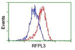 Flow Cytometry: RFPL3 Antibody (2G4) [NBP2-02034] - Analysis of Hela cells, using anti-RFPL3 antibody, (Red), compared to a nonspecific negative control antibody (Blue).