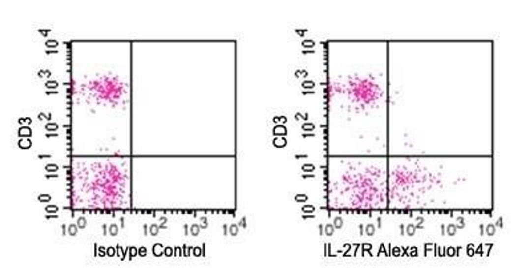 Flow (Cell Surface): IL-27 R alpha/WSX-1/TCCR Antibody (34N4G11) [NBP2-19015] - Analysis using the Alexa Fluor (R) 647 conjugate of NBP2-19015. Surface staining of IL27R on freshly isolated (PPI negative) human PBMCs using IL-27R antibody and CD3 antibody at 10 ul/10^6 cells. Flow kit, mouse IgG2b isotype control antibody, and RBC lysis buffer were used for this test.