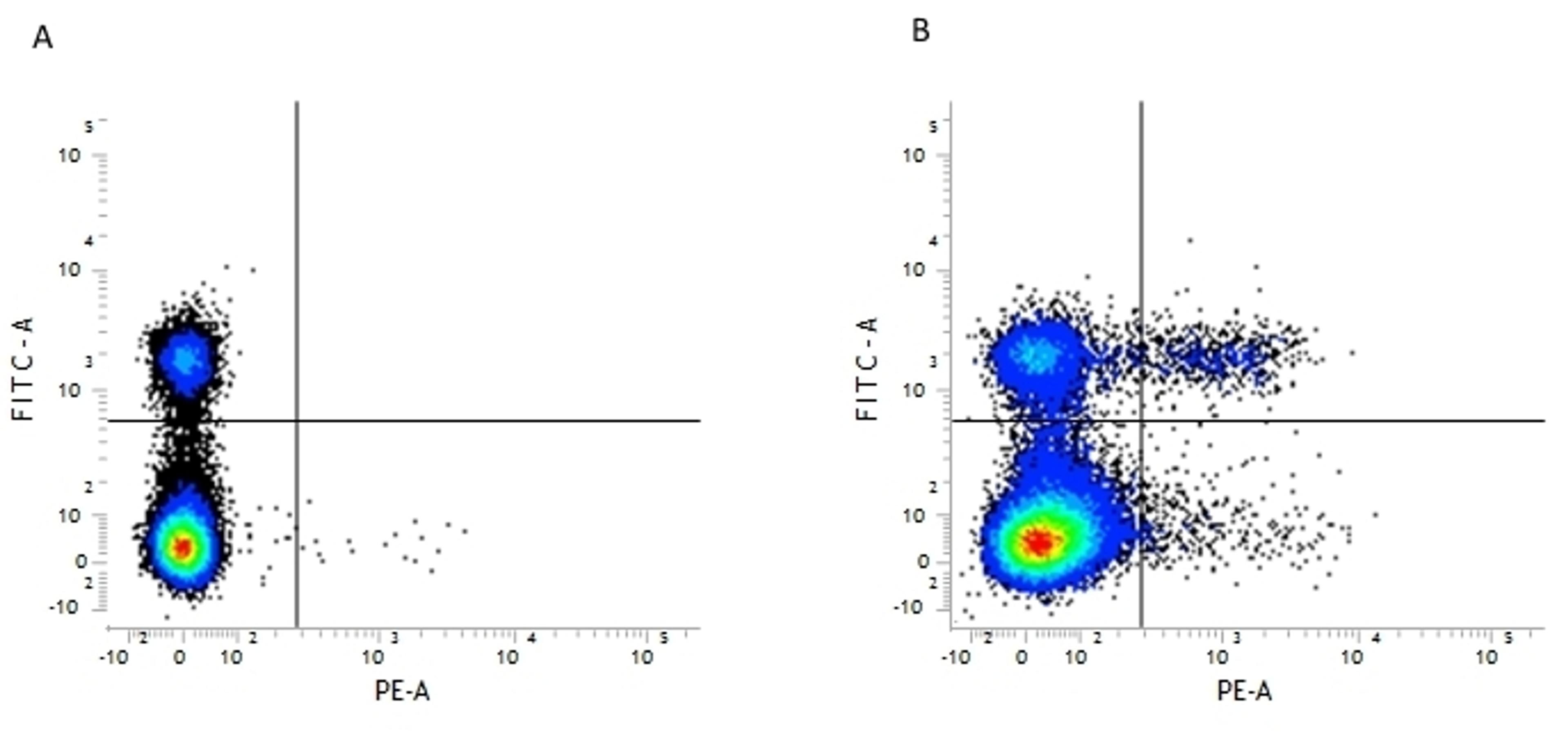 Figure A. rat anti mouse CD4. Figure B. rat anti mouse CD4 and rat anti mouse CD25.