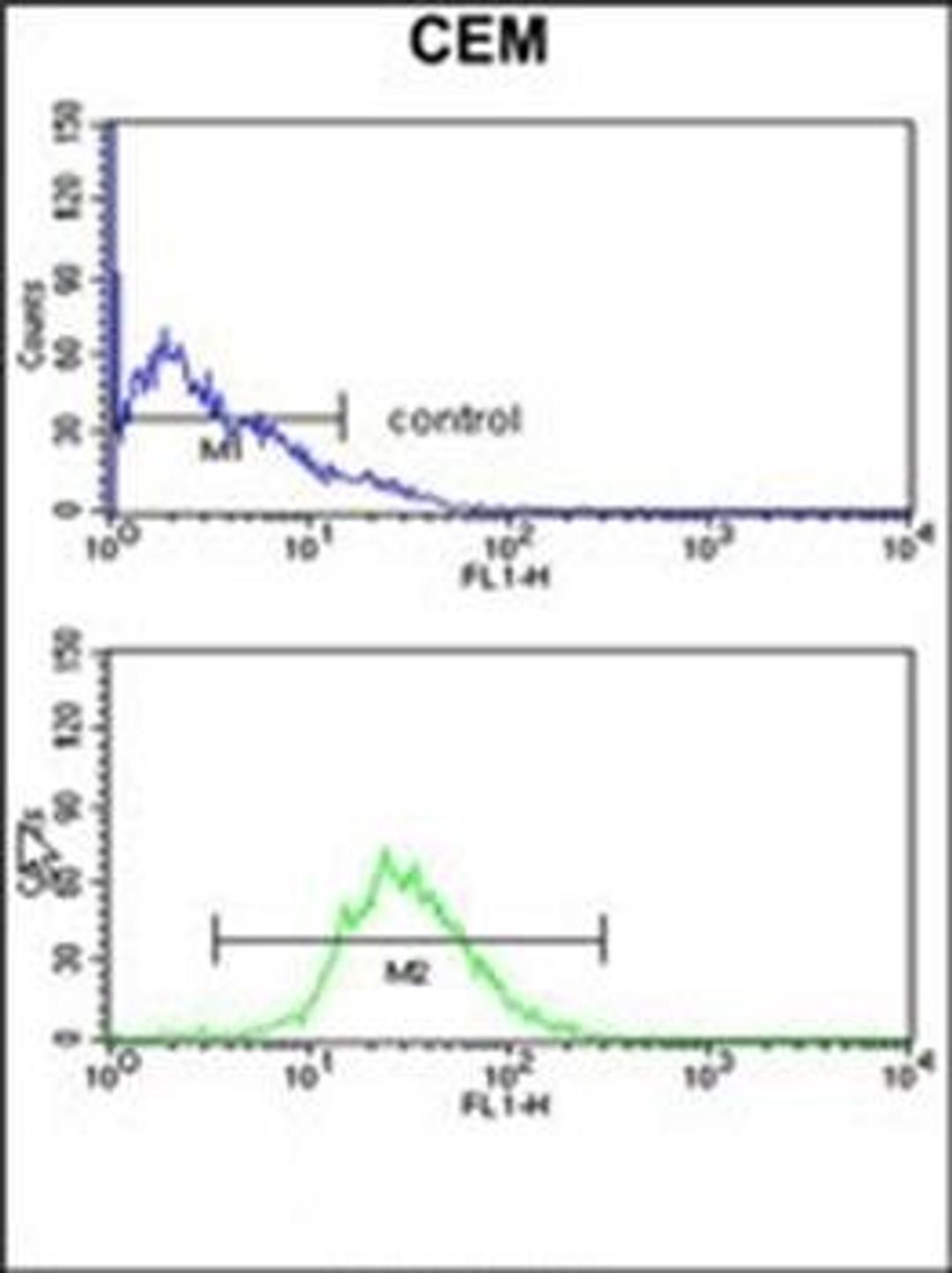 Flow cytometric analysis of CEM cells using HSPA6 antibody (primary antibody dilution at: 1:10-50)