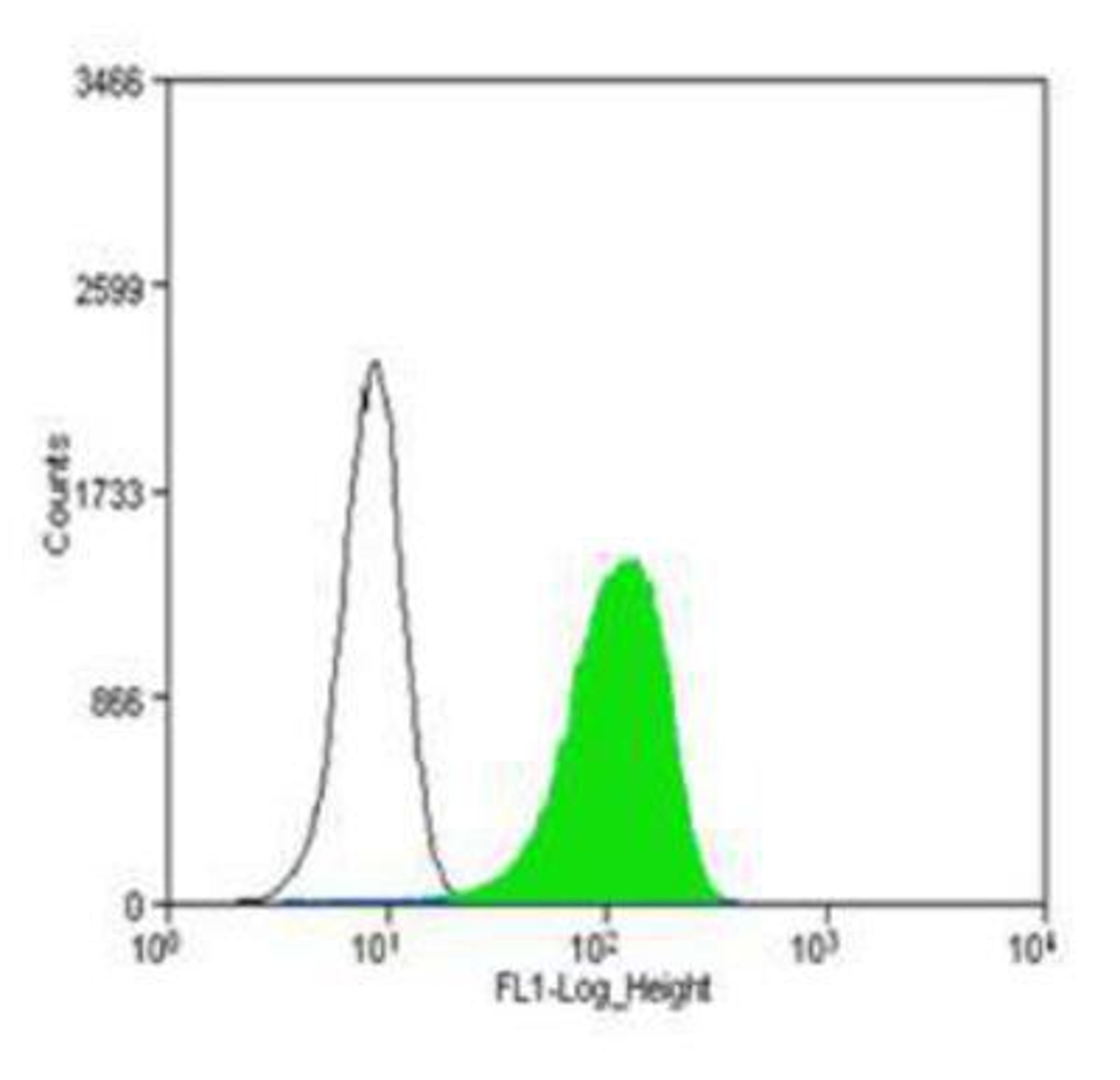 Flow Cytometry: CD31/PECAM1 Antibody (MEC 7.46) [NB100-1642] - CD31/PECAM1 (MEC 7.46) antibody was tested at 1:250 in WEHI-3 cells with DyLight 488 (green) alongside a matched isotype control (black).