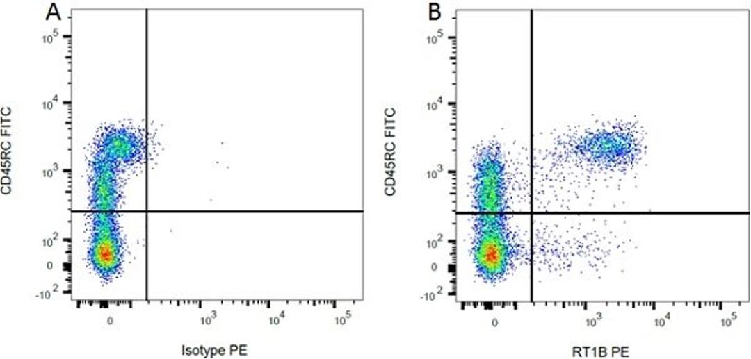 Figure A. mouse anti rat CD45RC. Figure B. mouse anti rat CD45RC and RPE anti rat RT1B. 