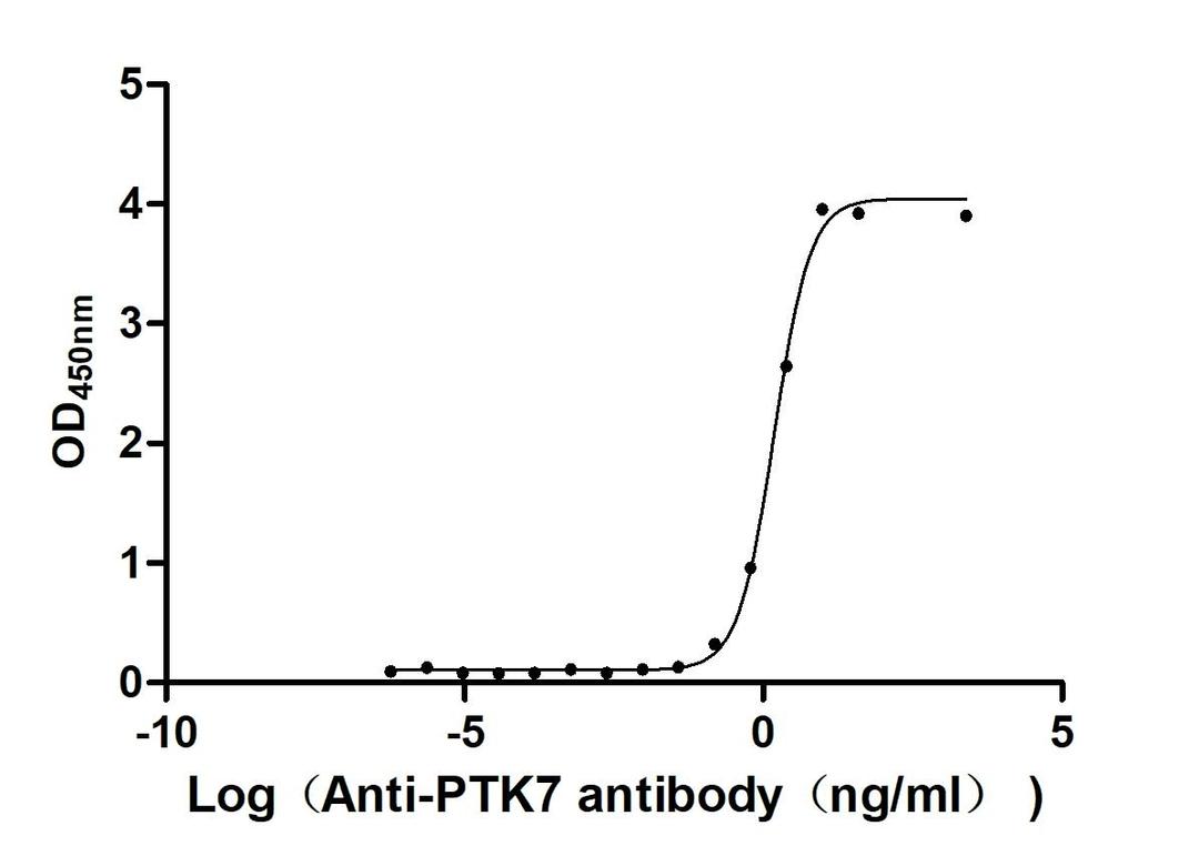 The Binding Activity of Monkey PTK7 with Anti-PTK7 recombinant antibody. Activity: Measured by its binding ability in a functional ELISA. Immobilized Monkey PTK7(CSB-MP5478MOV) at 2 μg/mL can bind Anti-PTK7 recombinant antibody. The EC<sub>50</sub> is 1.399 - 1.666 ng/mL.