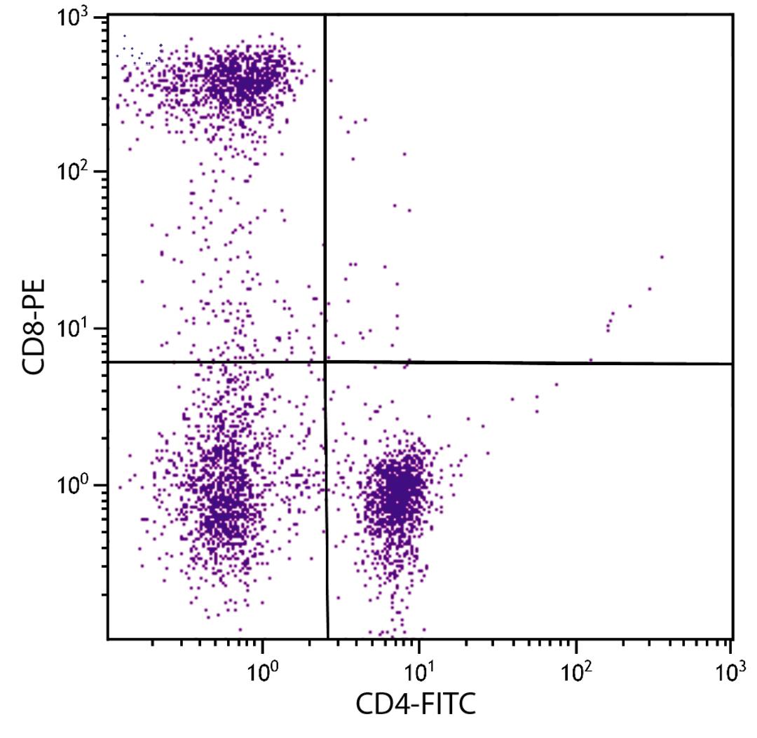 Human peripheral blood lymphocytes were stained with Mouse Anti-Human CD8-PE (Cat. No. 99-443) and Mouse Anti-Human CD4-FITC .