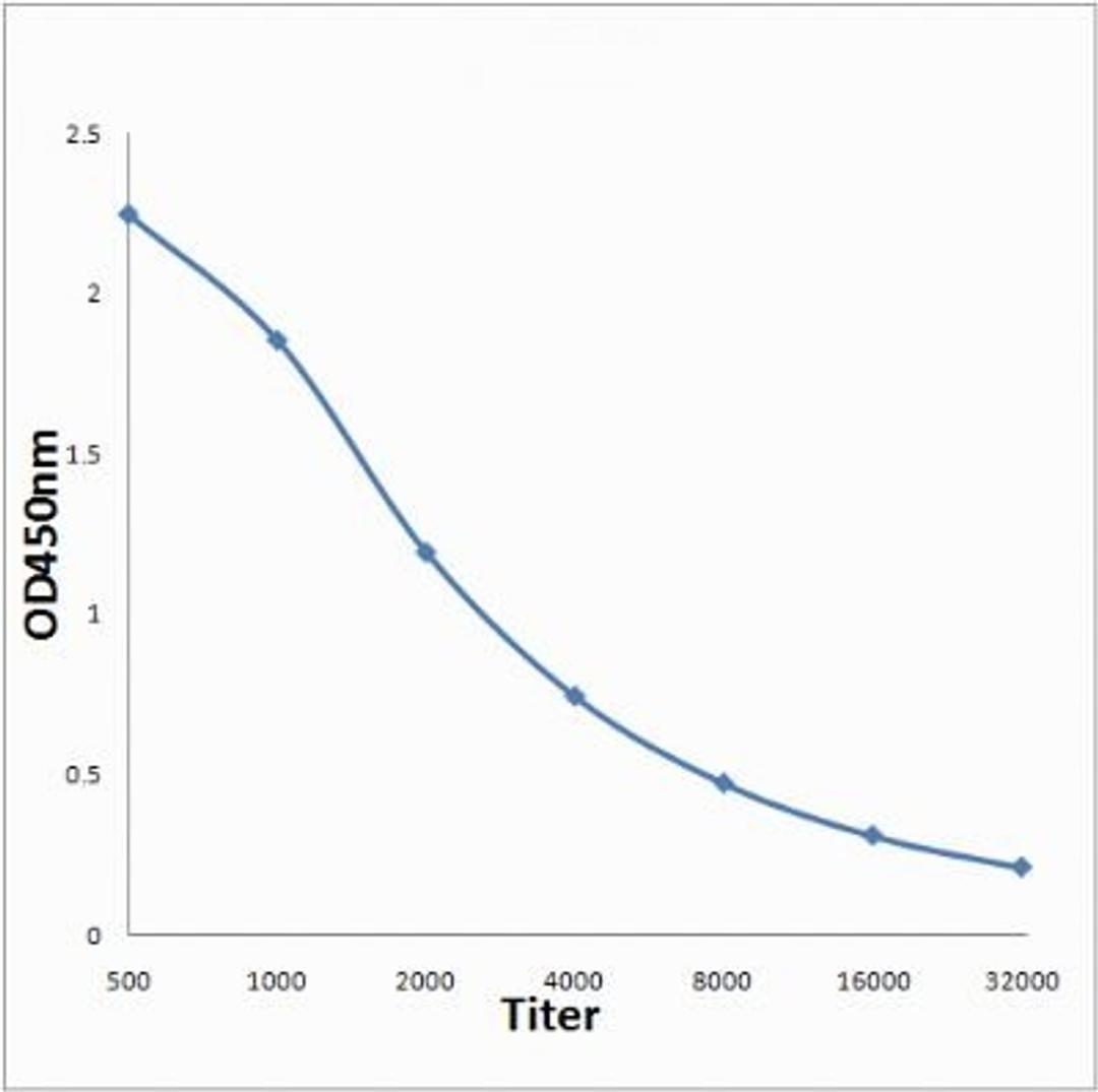 Line graph illustrates about the Ag-Ab reactions using different concentrations of antigen and serial dilutions of Frizzled 1 antibody