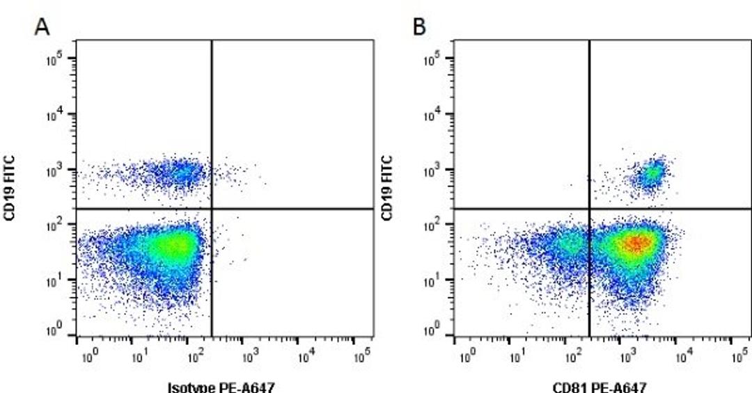 Figure A. Mouse anti Human CD19. Figure B.Mouse anti Human CD19 and Mouse anti Human CD81.