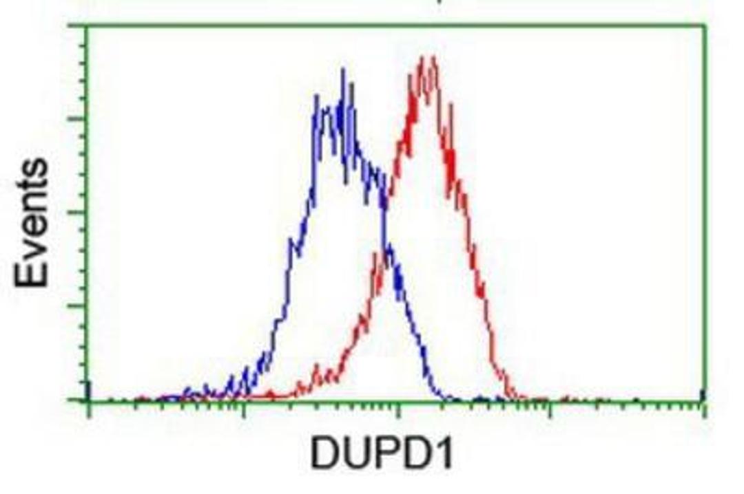 Flow Cytometry: DUSP27/DUPD1 Antibody (7E4) [NBP2-03339] - DUSP27/DUPD1 Antibody (7E4)  Analysis of Hela cells, using anti-DUSP27 antibody, (Red), compared to a nonspecific negative control antibody (Blue).