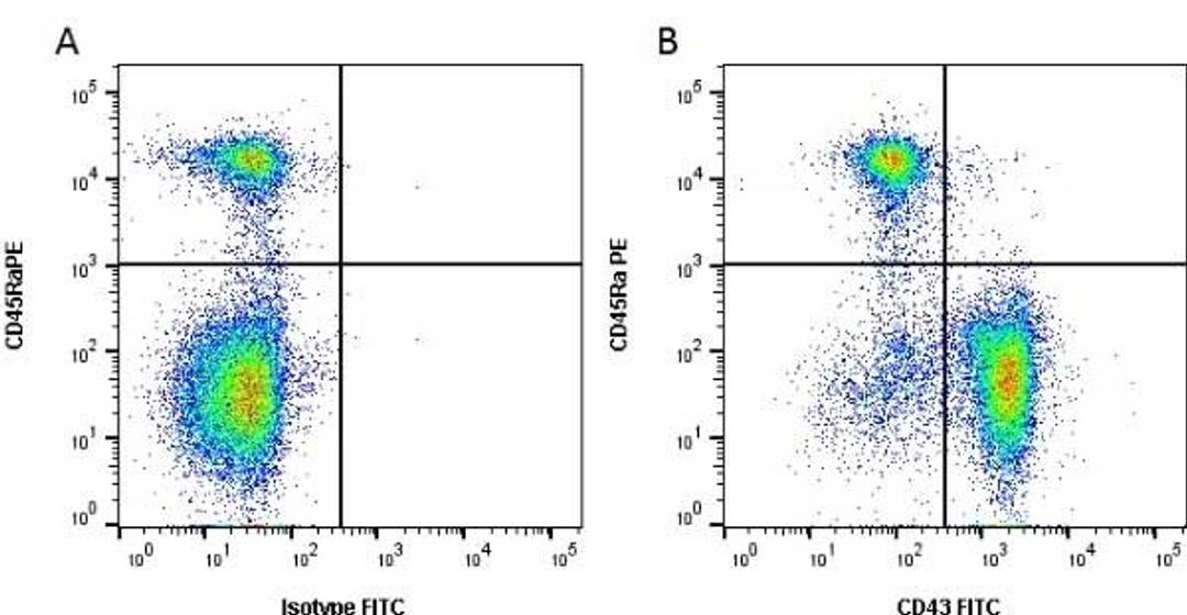 Figure A.Mouse anti Rat CD45Ra. Figure B. Mouse anti Rat CD45Ra and Mouse anti Rat CD43. 