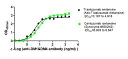 The Binding Activity of Trastuzumab emtansine (Ado-Trastuzumab emtansine) and Cantuzumab ravtansine (Synonyms:IMGN242) with Anti-DM1&DM4 antibody. Activity: Measured by its binding ability in a functional ELISA. Immobilized Trastuzumab emtansine (Ado-Trastuzumab emtansine) and Cantuzumab ravtansine (Synonyms:IMGN242) at 2 μg/mL can bind Anti-DM1&DM4 antibody, the EC<sub>50</sub> is 3.187 to 4.918 ng/mL and 6.903 to 8.647 ng/mL, respectively.