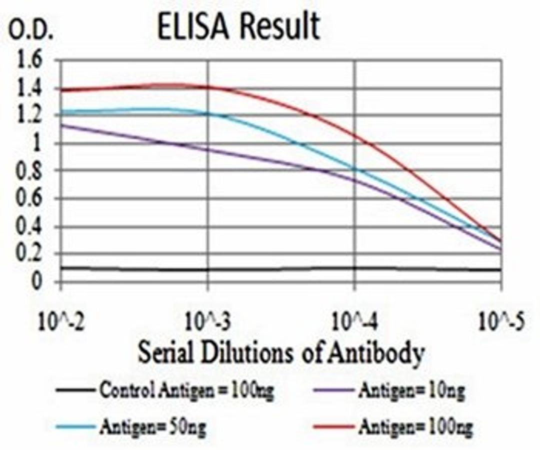 ELISA Black line: Control Antigen (100 ng); Purple line: Antigen(10ng); Blue line: Antigen (50 ng); Red line: Antigen (100 ng)