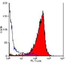 Flow Cytometry: CD90/Thy1 Antibody (OX-7) [NB100-65543] - Staining of rat thymus with MOUSE ANTI RAT CD90 (THY 1.1).