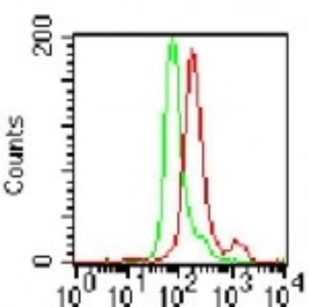 Flow Cytometry: TLR3 Antibody [NB100-56571] - Analysis using the FITC conjugate of NB100-56571. Staining of TLR3 in Balb/c mouse splenocytes using this antibody at 1 ug/10^6 cells. Green represents rabbit IgG isotype control this antibody; red represents anti-TLR3 antibody.