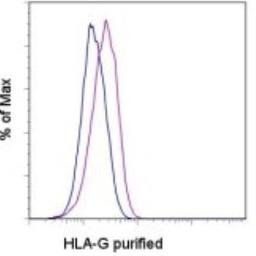 Flow Cytometry: HLA G Antibody (87G) [NBP1-43123] - Staining of stimulated U937 cells with 0.25 ug of Mouse IgG2a K Isotype Control Purified (blue) or 0.25 ug of Anti-Human HLA-G Purified (purple) followed by F(ab')2 Anti-Mouse IgG PE. Total viable cells were used for analysis.