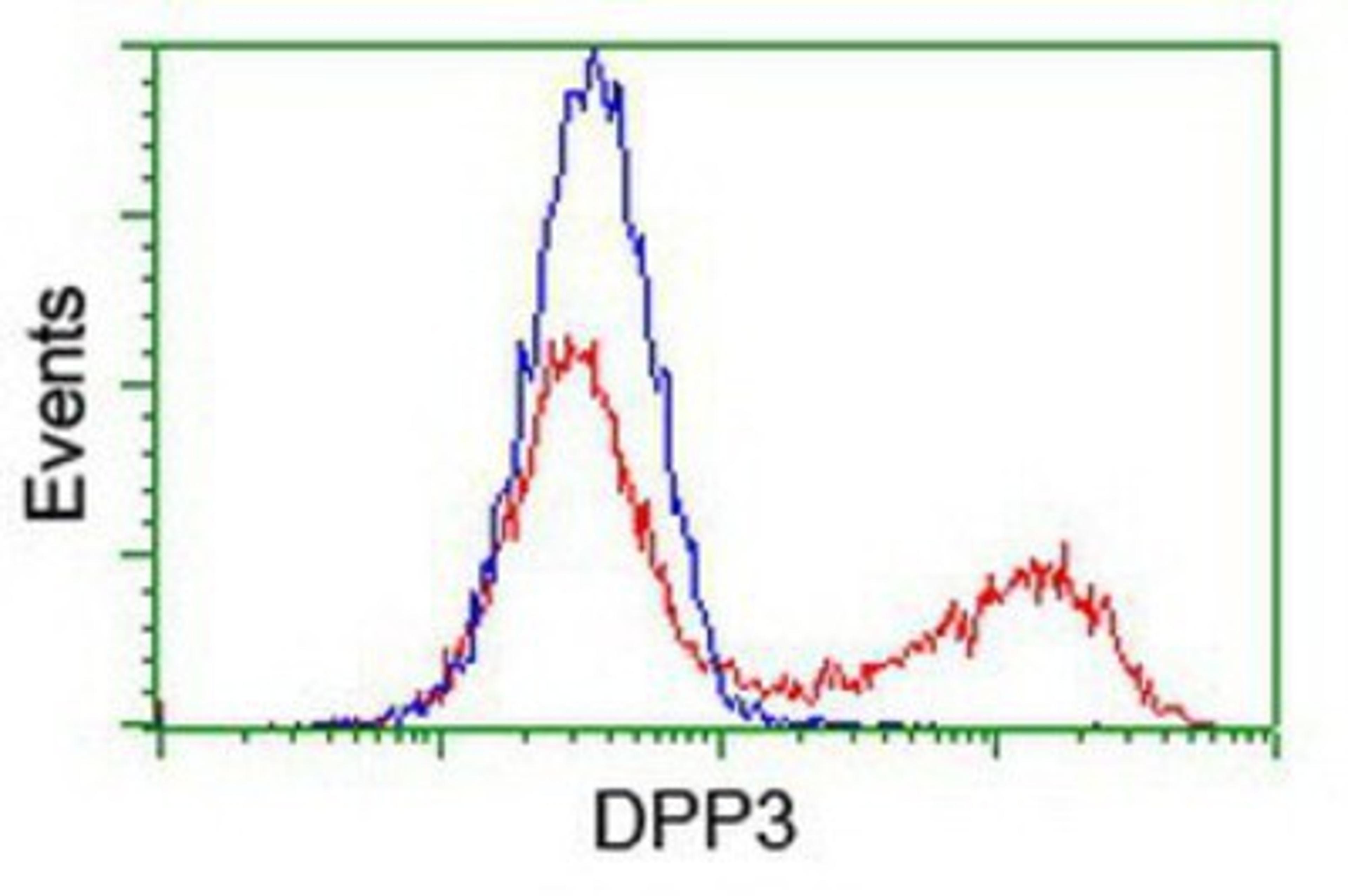 Flow Cytometry: DPP3 Antibody (2D9) [NBP2-01007] - HEK293T cells transfected with either overexpression plasmid (Red) or empty vector control plasmid (Blue) were immunostained by anti-DPP3 antibody, and then analyzed by flow cytometry.