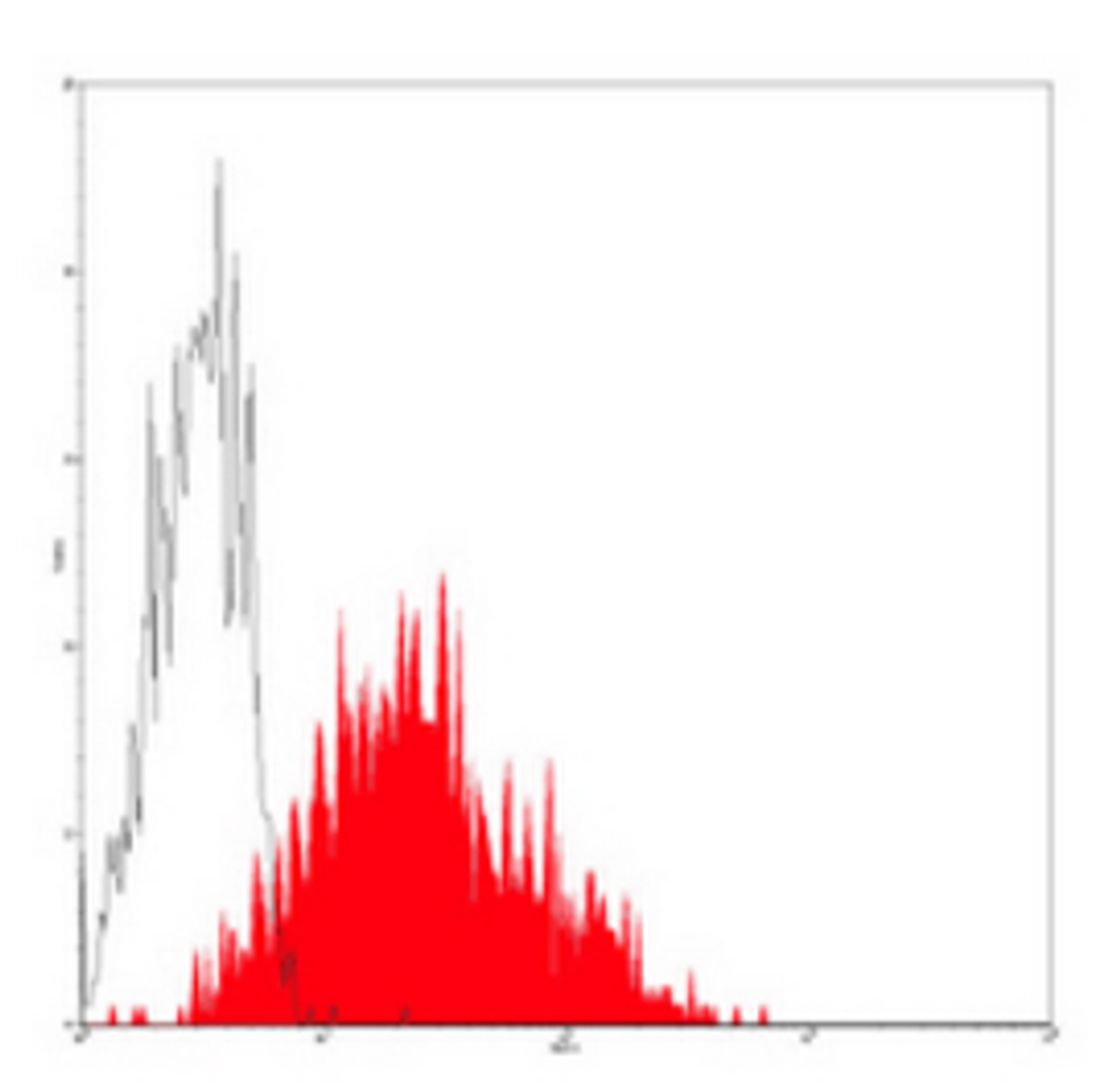 Flow cytometric analysis of human peripheral blood lymphocytes using CD55 antibody (FITC)