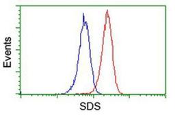 Flow Cytometry: Serine Dehydratase Antibody (3D3) [NBP2-01506] - Analysis of Jurkat cells, using anti-Serine Dehydratase antibody, (Red), compared to a nonspecific negative control antibody (Blue).