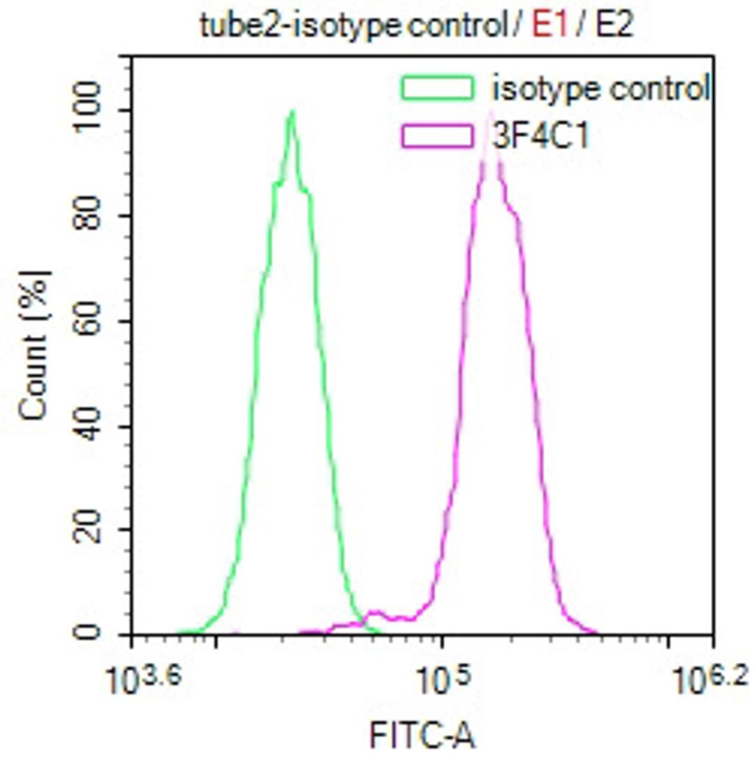 Overlay Peak curve showing Hela cells stained with CSB-MA010418PA28ph01HU (red line) at 1:100. The cells were incubated in 10% normal goat serum to block non-specific protein-protein interactions followed by the antibody (1µg/1*106cells) for 1h at 4°C. The secondary antibody used was FITC-conjugated Goat Anti-Mouse IgG(H+L) at 1/100 dilution for 30min at 4°C. Isotype control antibody (green line) was mouse IgG1 (1µg/1*106cells) used under the same conditions. Acquisition of >10,000 events was performed.