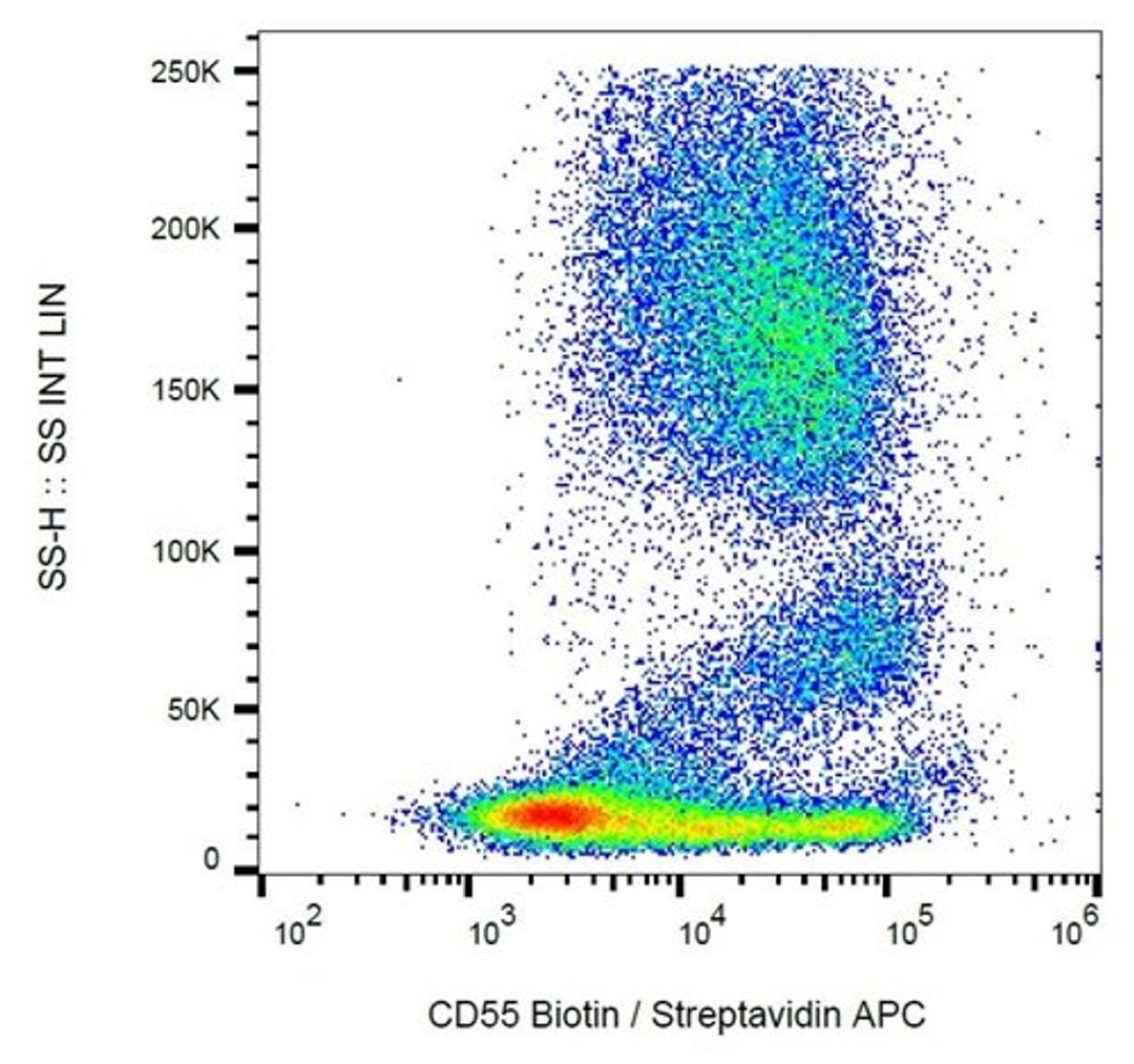 Flow cytometric analysis of human peripheral blood cells using CD55 antibody (Biotin)