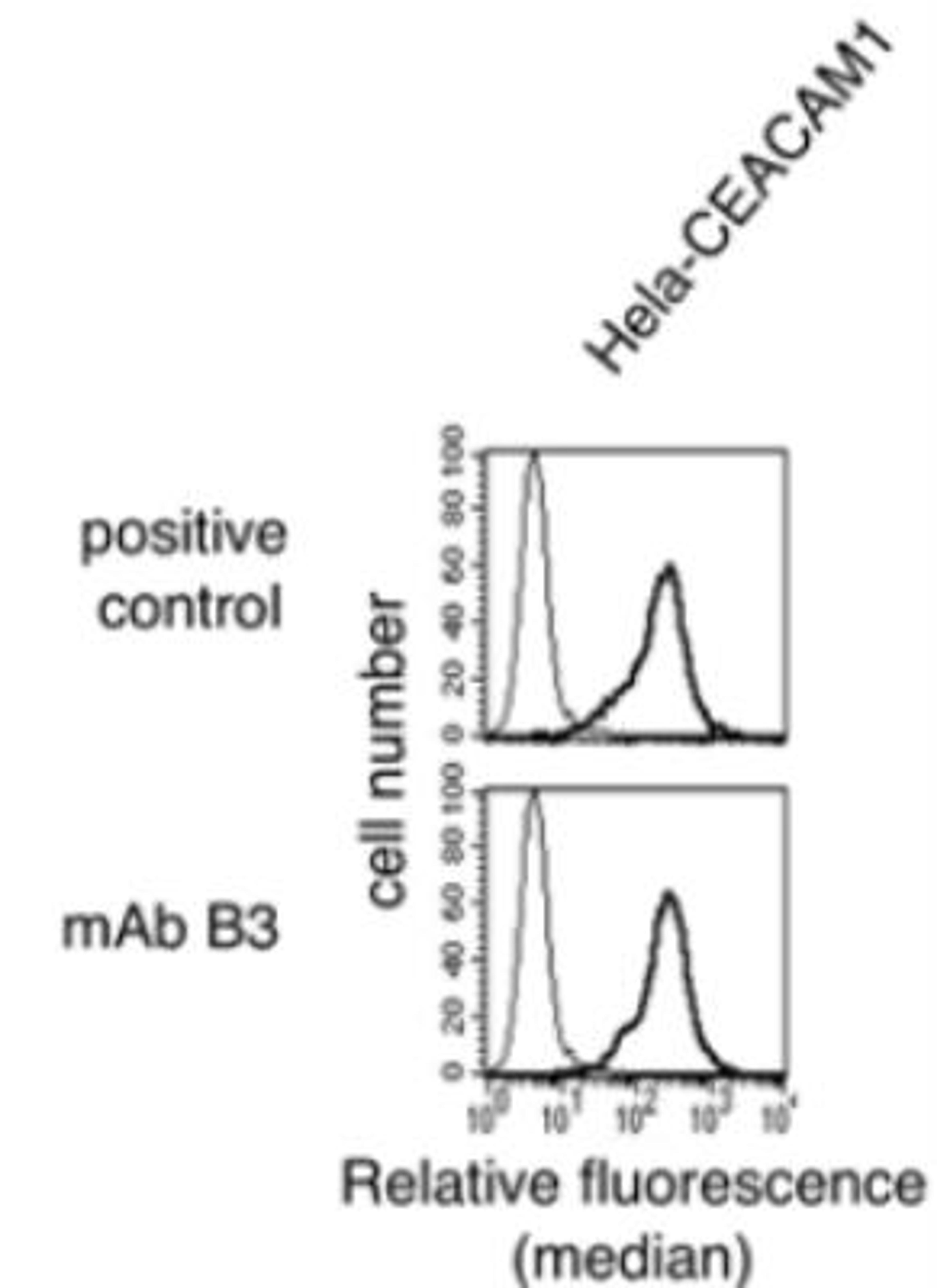 Flow Cytometry: CEACAM-1/CD66a Antibody (B3) [NBP2-36277] - Stably transfected HeLa cells: 250.000 Helahuman CEACAM1 cells; 10 ug/ml of primary B3-17. Binding was detected with a FITC-conjugated secondary antibody.