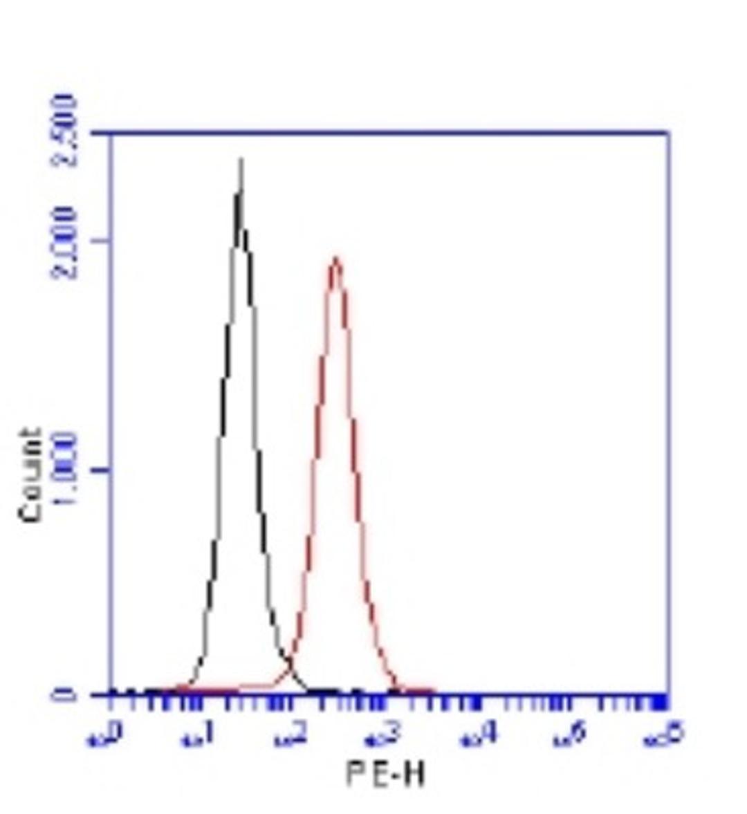 Flow Cytometry: 53BP1 Antibody [NB100-304] - 1 million Jurkat cells were fixed, permeabilized, and stained with 1.5 ug/ml anti-53BP1 NB100-304 in a 150 ul reaction. Isotype control (black), anti-53BP1 (red).