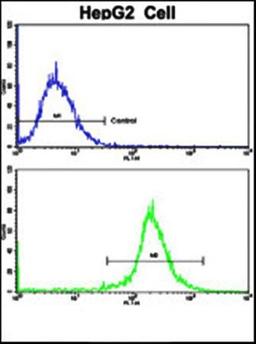 Flow cytometric analysis of Nestin antibody in HepG2 cell line lysates