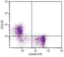 BALB/c mouse splenocytes were stained with Rat Anti-Mouse CD5-PE (Cat. No. 98-599) and Rat Anti-Mouse CD45R-FITC .