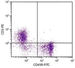 BALB/c mouse splenocytes were stained with Rat Anti-Mouse CD5-PE (Cat. No. 98-599) and Rat Anti-Mouse CD45R-FITC .