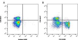 Figure A. Mouse anti Rat CD8. Figure B. Mouse anti Rat CD8 and Mouse anti Rat CD4. 