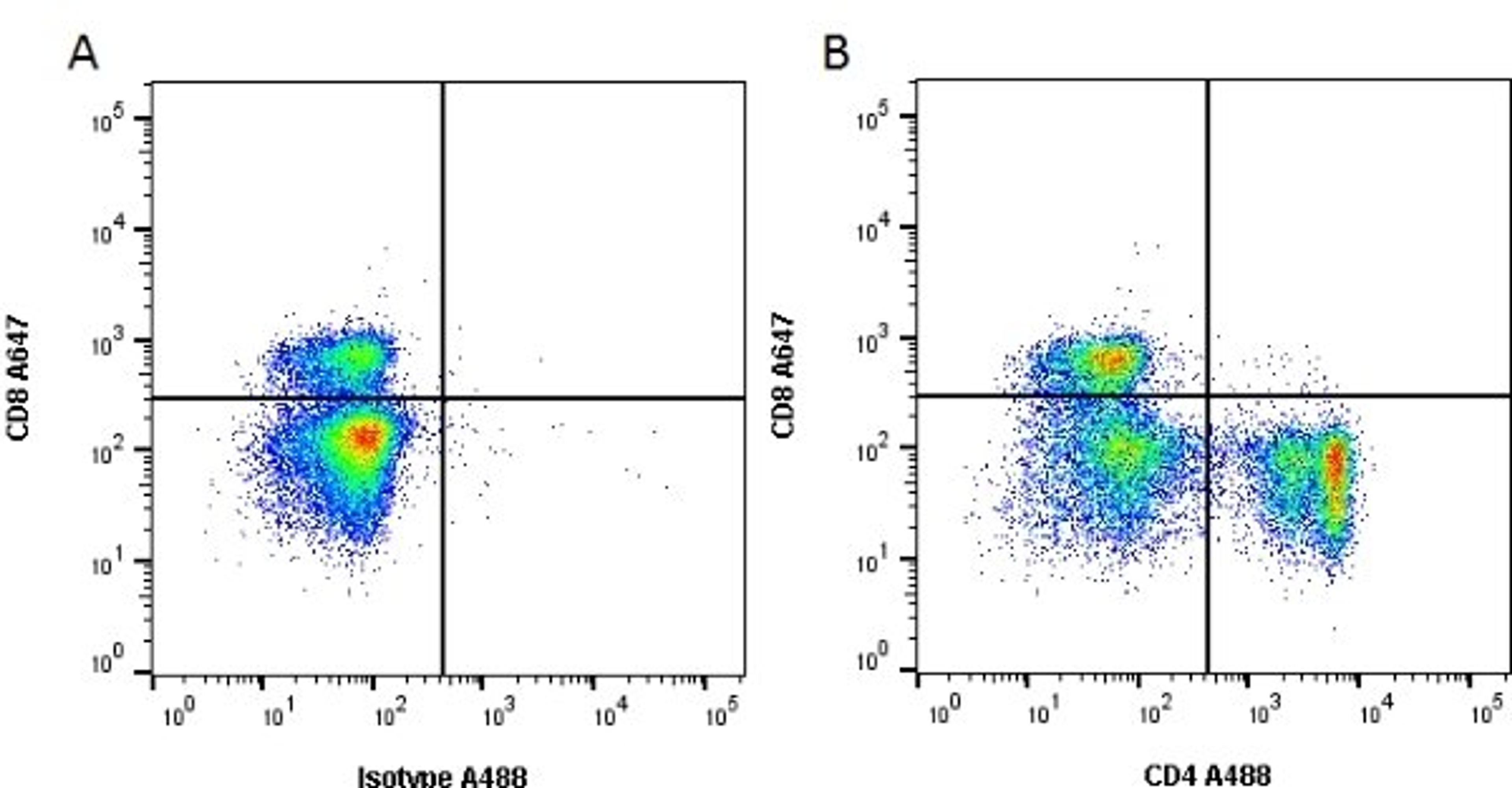 Figure A. Mouse anti Rat CD8. Figure B. Mouse anti Rat CD8 and Mouse anti Rat CD4. 