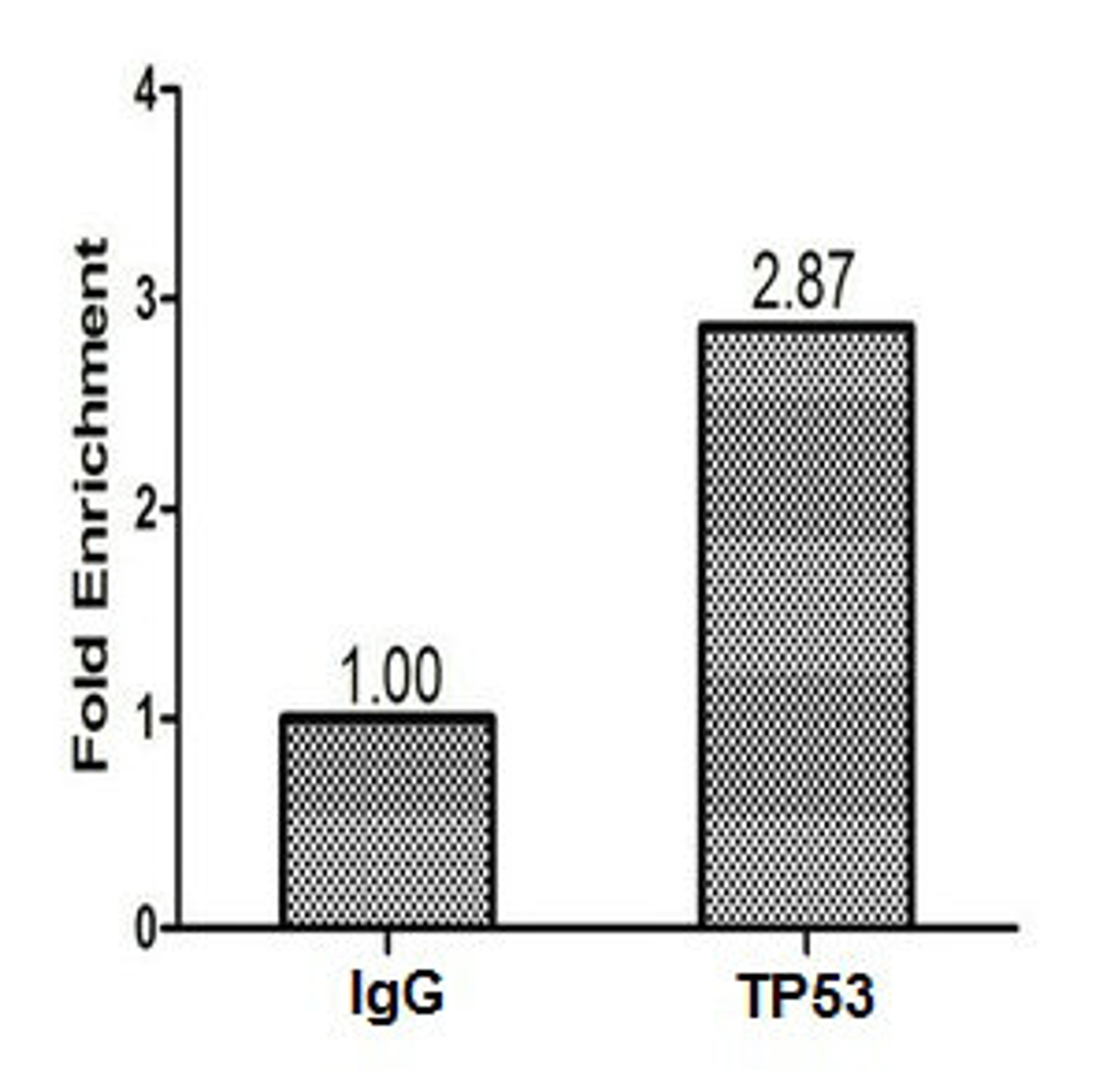 Chromatin Immunoprecipitation Hela (1.2*10<sup>6</sup>) were cross-linked with formaldehyde, sonicated, and immunoprecipitated with 4µg anti-TP53 or a control normal rabbit IgG. The resulting ChIP DNA was quantified using real-time PCR with primers (CSB-PP07889HU) against the P21 promoter.