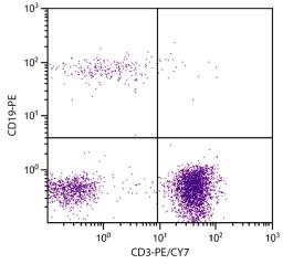 Human peripheral blood lymphocytes were stained with Mouse Anti-Human CD3-PE/CY7 (Cat. No. 99-421) and Mouse Anti-Human CD19-PE .