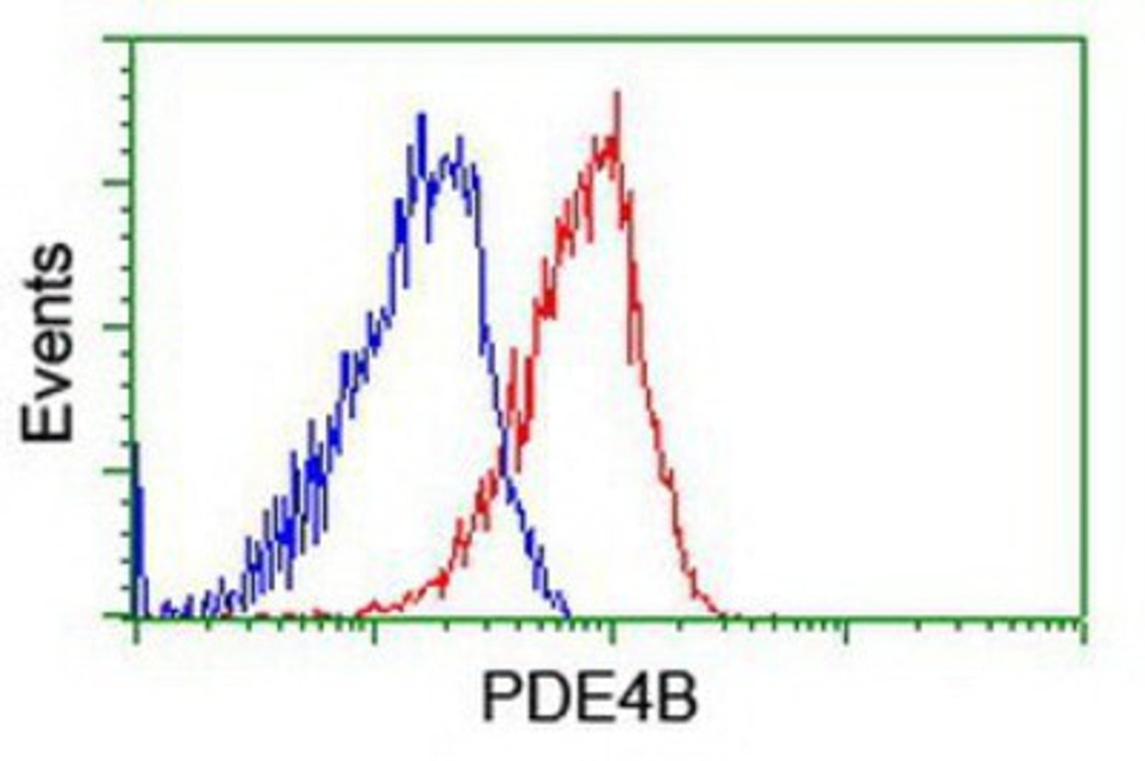 Flow Cytometry: PDE4B Antibody (1D12) [NBP2-01171] - Analysis of Hela cells, using anti-PDE4B antibody, (Red), compared to a nonspecific negative control antibody (Blue).