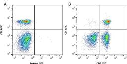 Figure A. Rat anti Canine CD4. Figure B.Rat anti Canine CD4 and Mouse anti Canine CD3.