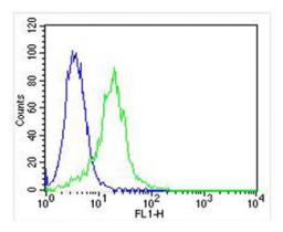 Overlay histogram showing Hela cells stained with Antibody (green line). The cells were fixed with 2% paraformaldehyde (10 min) and then permeabilized with 90% methanol for 10 min. The cells were then icubated in 2% bovine serum albumin to block non-speci