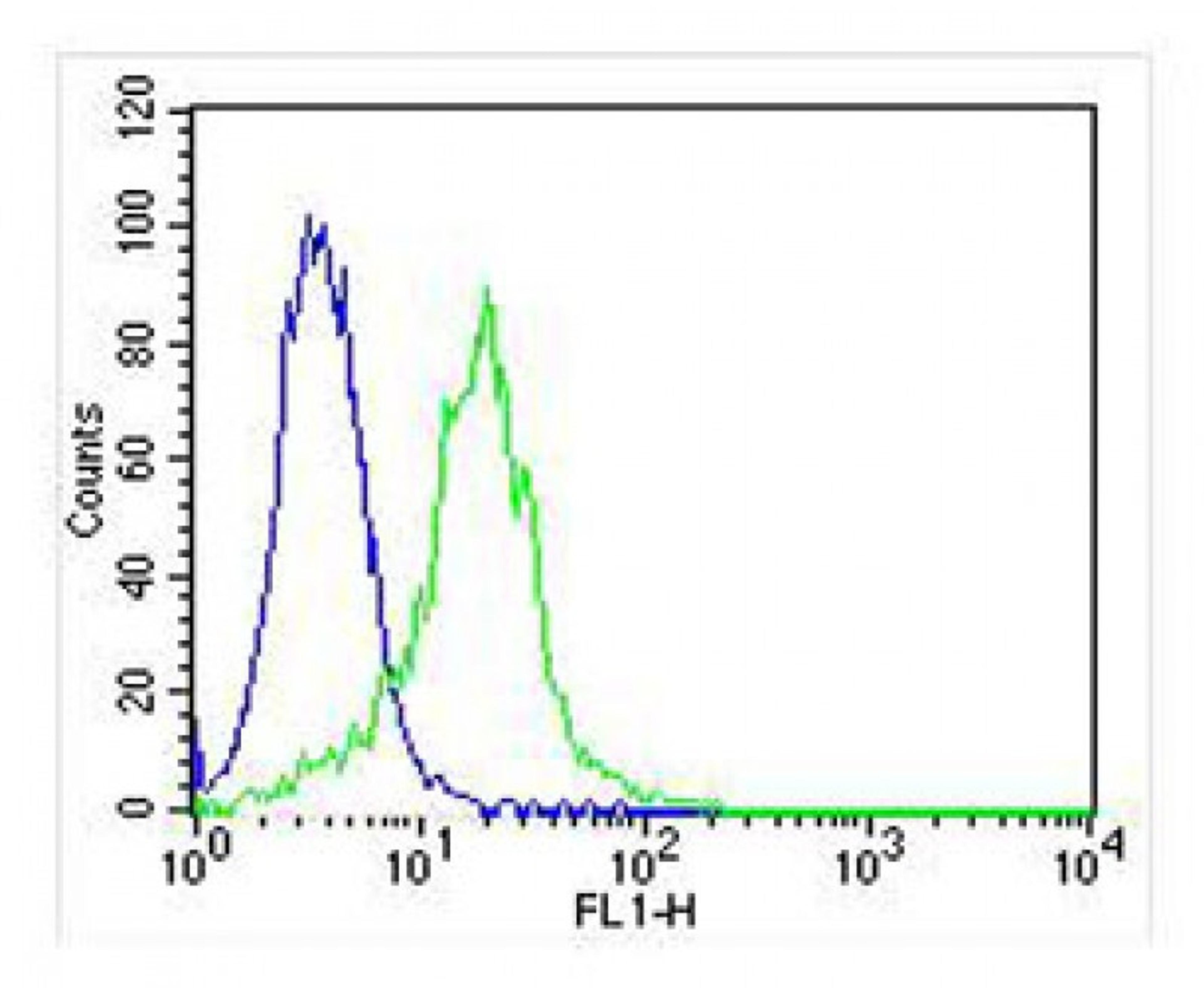 Overlay histogram showing Hela cells stained with Antibody (green line). The cells were fixed with 2% paraformaldehyde (10 min) and then permeabilized with 90% methanol for 10 min. The cells were then icubated in 2% bovine serum albumin to block non-speci