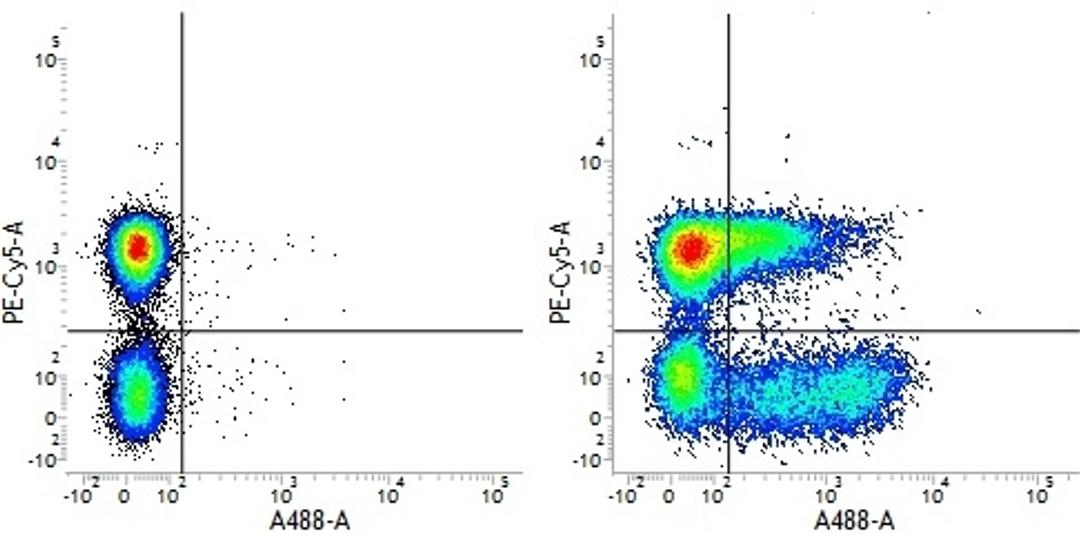 Figure A. Mouse anti Human CD3. Figure B. Mouse anti Human CD3 and Mouse anti Human CD38. 