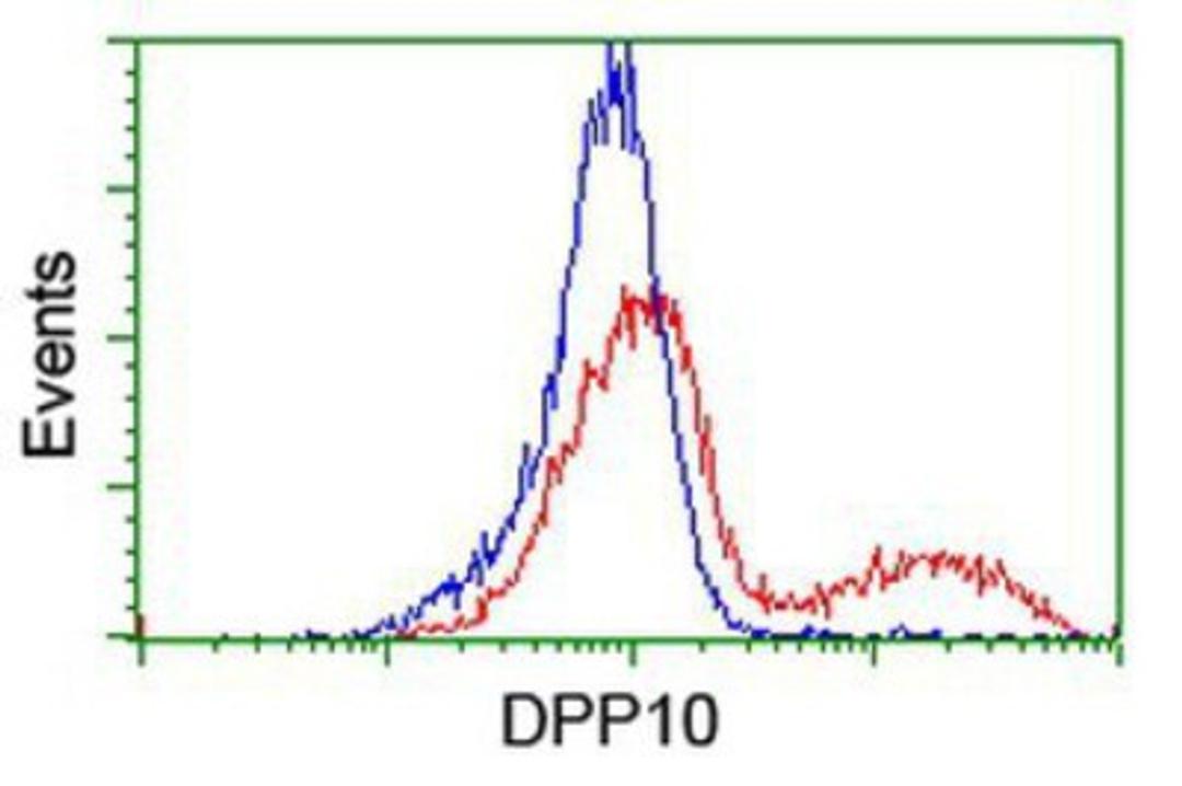 Flow Cytometry: DPP10 Antibody (1A5) [NBP2-01249] - HEK293T cells transfected with either overexpression plasmid (Red) or empty vector control plasmid (Blue) were immunostained by anti-DPP10 antibody, and then analyzed by flow cytometry.