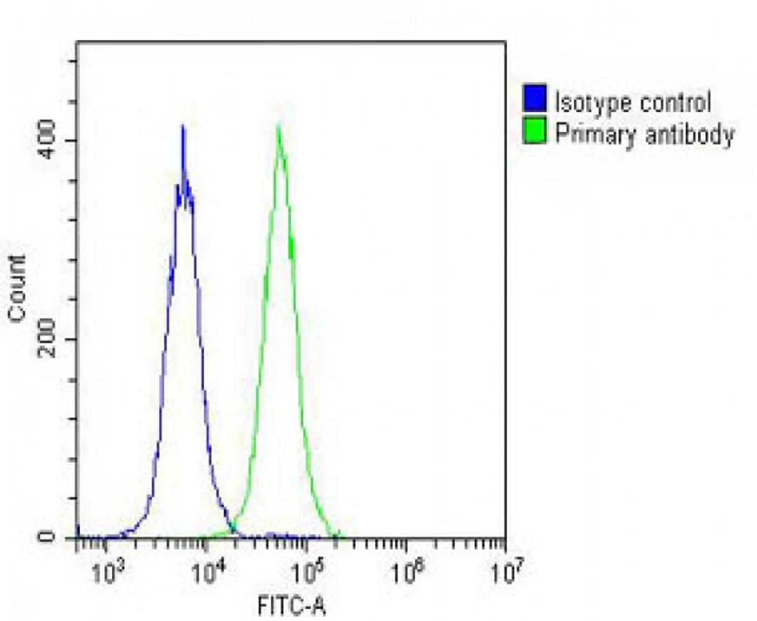 Overlay histogram showing Hela cells stained with Antibody (green line). The cells were fixed with 2% paraformaldehyde (10 min) and then permeabilized with 90% methanol for 10 min. The cells were then icubated in 2% bovine serum albumin to block non-speci