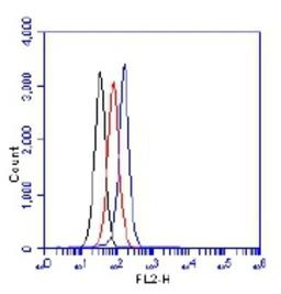 Flow Cytometry: 53BP1 [p Ser25] Antibody [NB100-1803] - Flow cytometric analysis of phospho 53bp1 (S25). Jurkat cells were treated with neocarzinostatin (NCS) for 1.5 hrs. 1 Million cells were fixed, permeabilized, and stained with 1.5 ug/ml antiphospho 53bp1 (S25) NB100-1803 in a 150 ul reaction. Isotype control (black), untreated (red), NCS treated (blue).