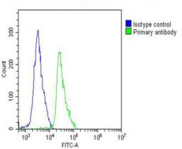 Overlay histogram showing Jurkat cells stained with Antibody (green line). The cells were fixed with 2% paraformaldehyde (10 min). The cells were then icubated in 2% bovine serum albumin to block non-specific protein-protein interactions followed by the a