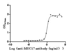 The Binding Activity of Human MUC17 with Anti-MUC17 Recombinant Antibody. Activity: Measured by its binding ability in a functional ELISA. Immobilized Human MUC17 (CSB-MP727848HU) at 2 μg/mL can bind Anti-MUC17 recombinant antibody. The EC<sub>50</sub> is 0.9057-1.259 ng/mL.